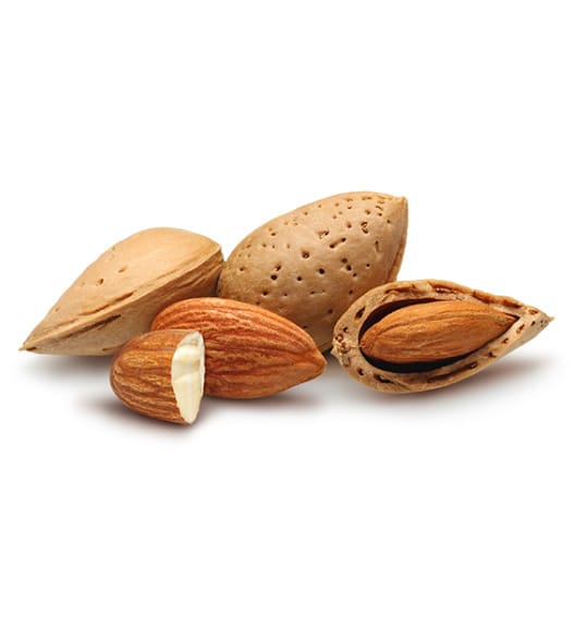 Almond
