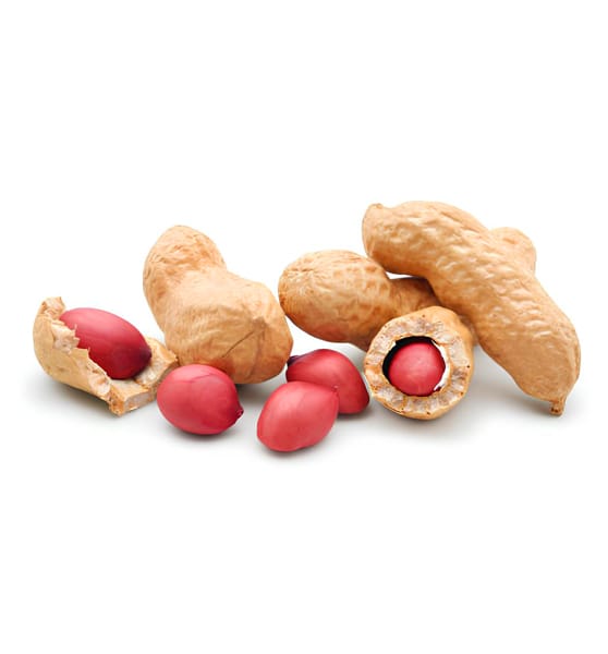 Peanut