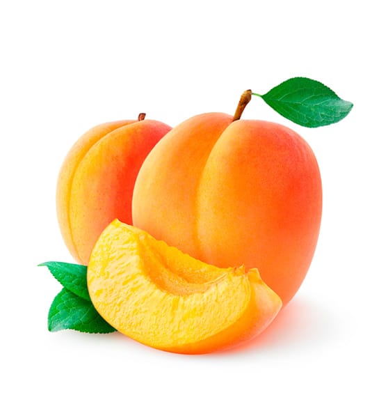 Apricot