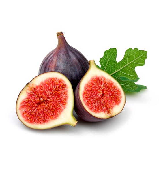 Fig