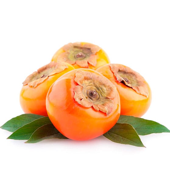 Persimmon